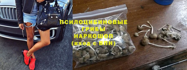 хмурый Алексеевка