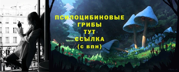хмурый Алексеевка