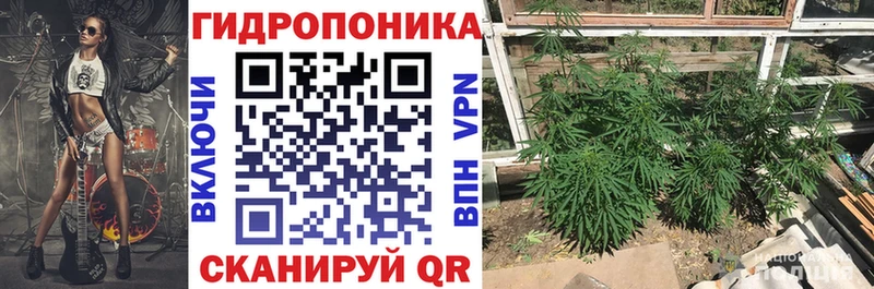 Бошки Шишки конопля  цены наркотик  Нестеров 